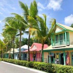 {{brizy_dc_image_alt imageSrc=