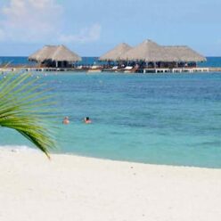 {{brizy_dc_image_alt imageSrc=