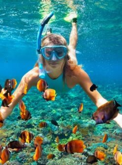 {{brizy_dc_image_alt imageSrc=