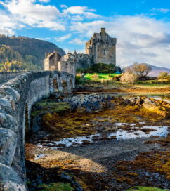 {{brizy_dc_image_alt imageSrc=